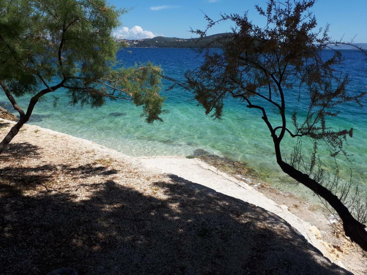 Vacation Home Mirjana Seget Vranjica Εξωτερικό φωτογραφία